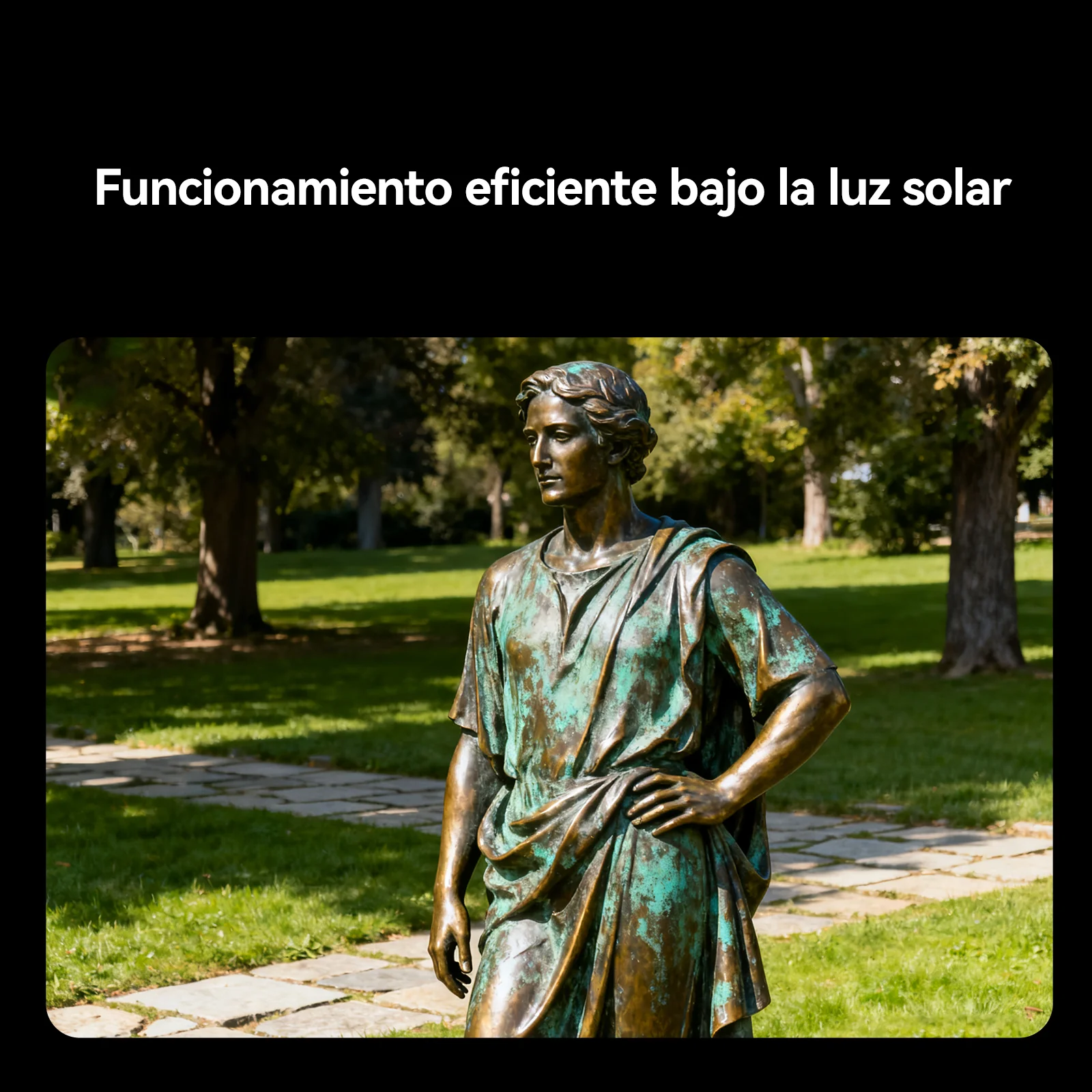 Imagen del producto 8